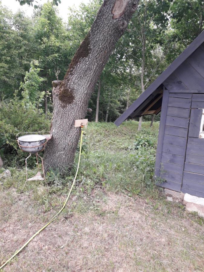 Tiny House Ruzeni * Talsi